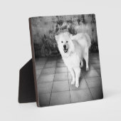 getrouwe liefde fotoplaat (Voorkant)