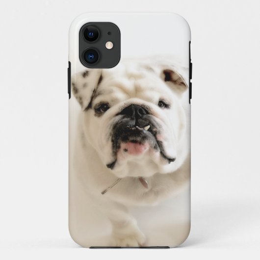 Getrouwe Witte Bulldog Foto Case-Mate iPhone Case (Achterkant)