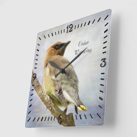 Gettextureerde cedar Waxwing Square Wall klok (Hoek)