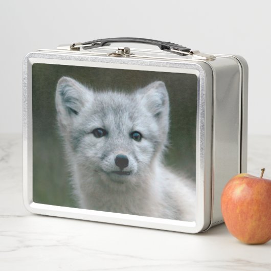 Getty Afbeeldingen | Arctic Fox Kit (In situ)