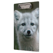 Getty Afbeeldingen | Arctic Fox Kit Klembord (Links)