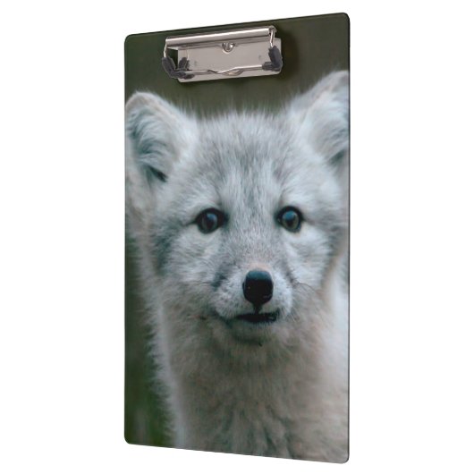 Getty Afbeeldingen | Arctic Fox Kit Klembord (Links)