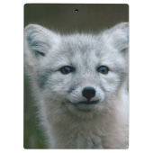 Getty Afbeeldingen | Arctic Fox Kit Klembord (Achterkant)
