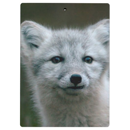 Getty Afbeeldingen | Arctic Fox Kit Klembord (Achterkant)