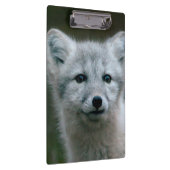Getty Afbeeldingen | Arctic Fox Kit Klembord (Rechts)