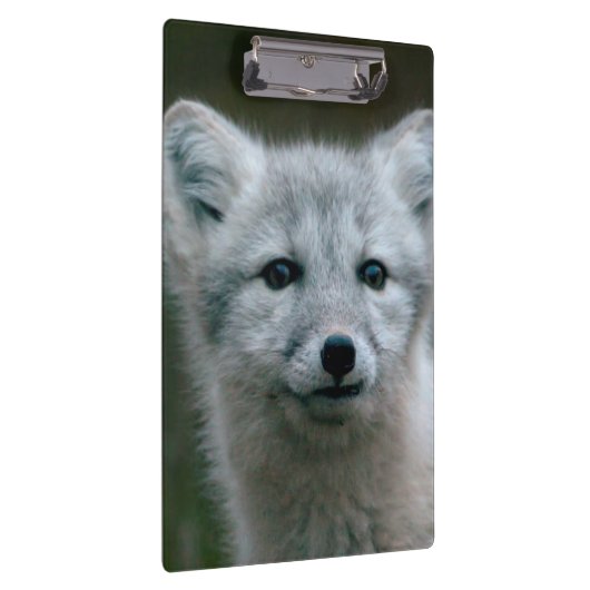 Getty Afbeeldingen | Arctic Fox Kit Klembord (Rechts)