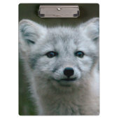 Getty Afbeeldingen | Arctic Fox Kit Klembord (Voorkant)