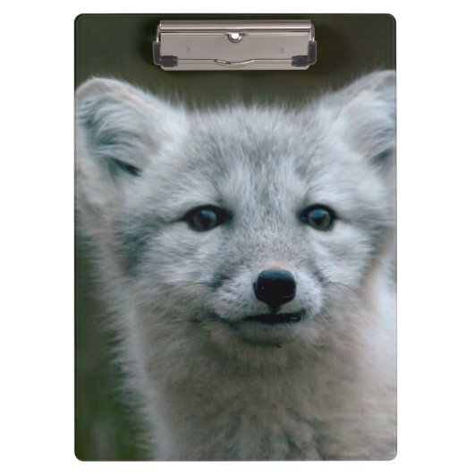 Getty Afbeeldingen | Arctic Fox Kit Klembord (Voorkant)