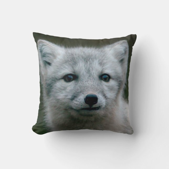 Getty Afbeeldingen | Arctic Fox Kit Kussen (Voorkant)