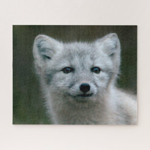Getty Afbeeldingen   Arctic Fox Kit Legpuzzel