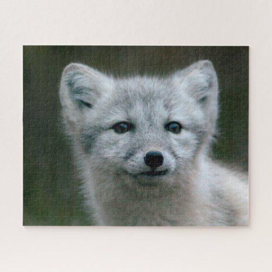 Getty Afbeeldingen | Arctic Fox Kit Legpuzzel (Horizontaal)