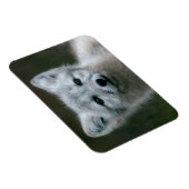 Getty Afbeeldingen | Arctic Fox Kit Magneet (Rechterzijde)