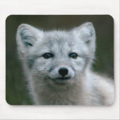 Getty Afbeeldingen | Arctic Fox Kit Muismat (Voorkant)