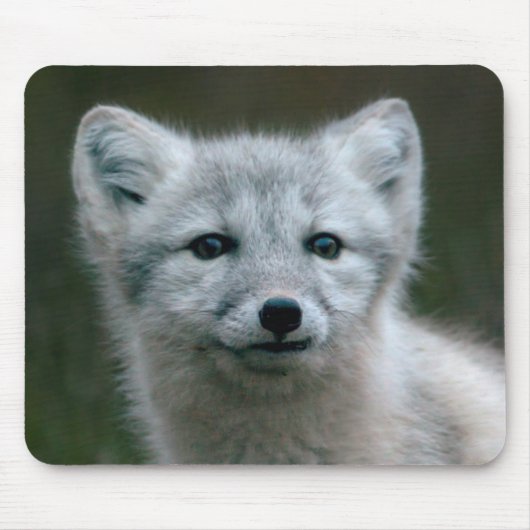 Getty Afbeeldingen | Arctic Fox Kit Muismat (Voorkant)