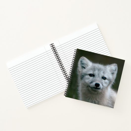 Getty Afbeeldingen | Arctic Fox Kit Notitieboek (Binnen)