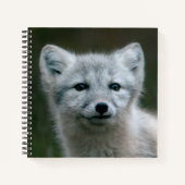 Getty Afbeeldingen | Arctic Fox Kit Notitieboek (Voorkant)