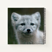 Getty Afbeeldingen | Arctic Fox Kit Notitieboek (Achterkant)
