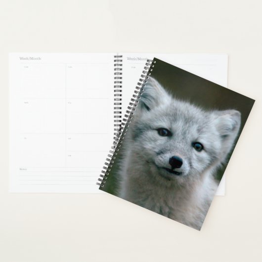 Getty Afbeeldingen | Arctic Fox Kit Planner (Display)