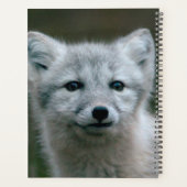 Getty Afbeeldingen | Arctic Fox Kit Planner (Achterkant)