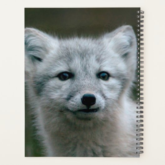Getty Afbeeldingen | Arctic Fox Kit Planner (Achterkant)