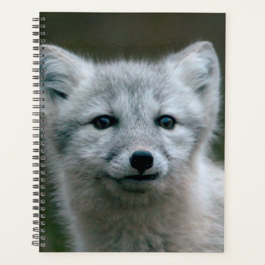 Getty Afbeeldingen | Arctic Fox Kit Planner (Voorkant)