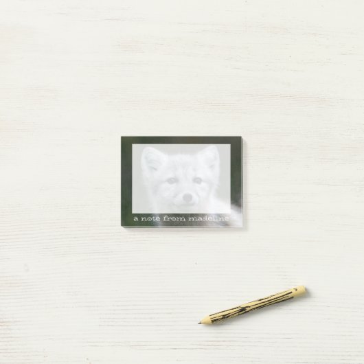 Getty Afbeeldingen | Arctic Fox Kit Post-it® Notes (Op bureau)