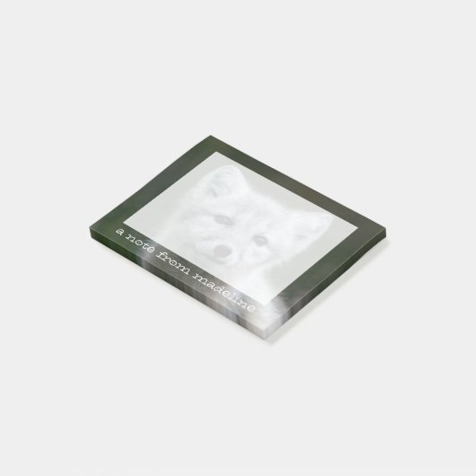 Getty Afbeeldingen | Arctic Fox Kit Post-it® Notes (Schuin)