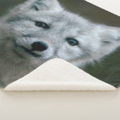 Getty Afbeeldingen | Arctic Fox Kit Sherpa Deken (3/4)