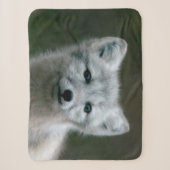 Getty Afbeeldingen | Arctic Fox Kit Sherpa Deken (Voorkant)