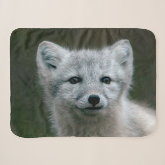 Getty Afbeeldingen | Arctic Fox Kit Sherpa Deken (Voorkant (horizontaal))