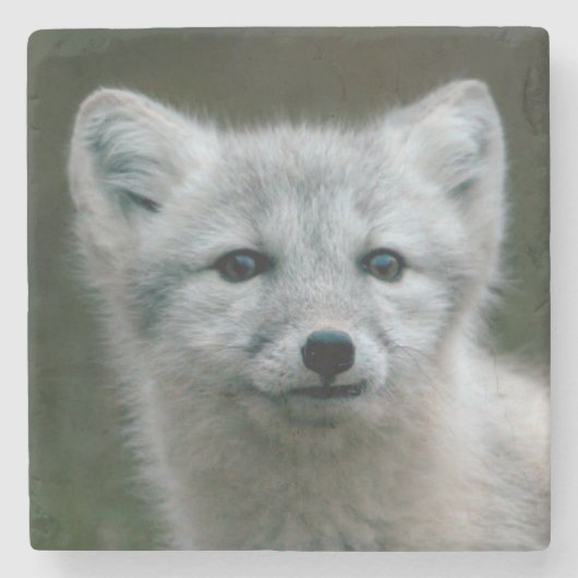 Getty Afbeeldingen | Arctic Fox Kit Stenen Onderzetter (Voorkant)