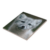 Getty Afbeeldingen | Arctic Fox Kit Tegeltje (Zijkant)