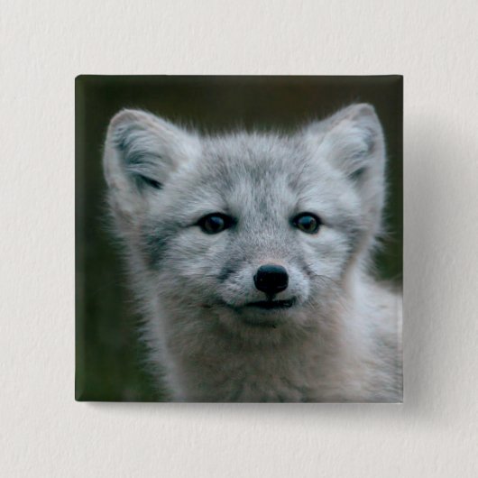 Getty Afbeeldingen | Arctic Fox Kit Vierkante Button 5,1 Cm (Voorkant)