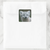 Getty Afbeeldingen | Arctic Fox Kit Vierkante Sticker (Tas)