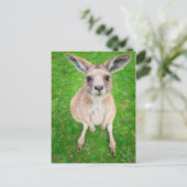 Getty Afbeeldingen | Baby Kangaroo Briefkaart (Staand voorkant)