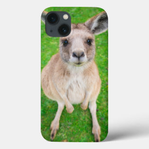 Getty Afbeeldingen   Baby Kangaroo iPhone 13 Hoesje