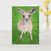 Getty Afbeeldingen | Baby Kangaroo Kaart (Gele Bloem)