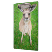 Getty Afbeeldingen | Baby Kangaroo Klembord (Links)