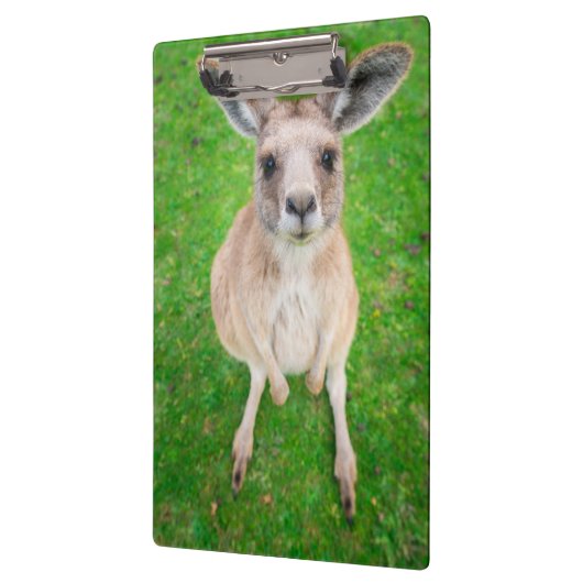 Getty Afbeeldingen | Baby Kangaroo Klembord (Links)