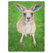 Getty Afbeeldingen | Baby Kangaroo Klembord (Achterkant)
