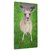 Getty Afbeeldingen | Baby Kangaroo Klembord (Rechts)