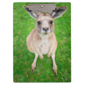 Getty Afbeeldingen | Baby Kangaroo Klembord (Voorkant)