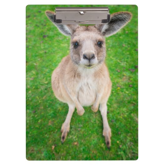 Getty Afbeeldingen | Baby Kangaroo Klembord (Voorkant)