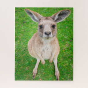 Getty Afbeeldingen   Baby Kangaroo Legpuzzel