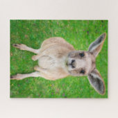 Getty Afbeeldingen | Baby Kangaroo Legpuzzel (Horizontaal)