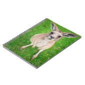 Getty Afbeeldingen | Baby Kangaroo Notitieboek (Linkerzijde)