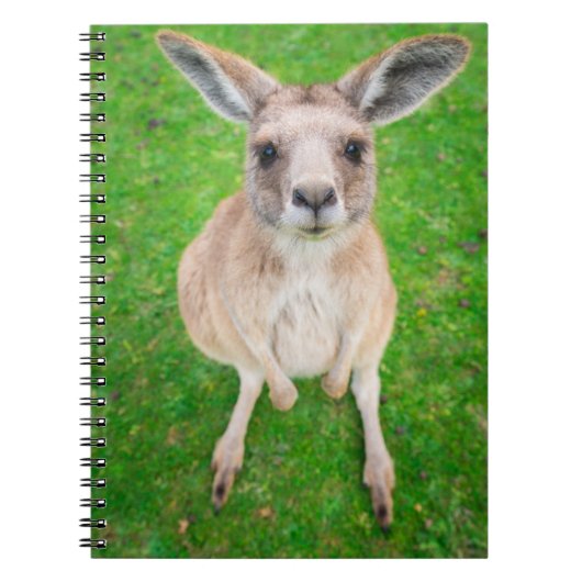 Getty Afbeeldingen | Baby Kangaroo Notitieboek (Voorkant)