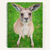 Getty Afbeeldingen | Baby Kangaroo Notitieboek (Voorkant)
