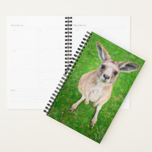 Getty Afbeeldingen | Baby Kangaroo Planner (Display)