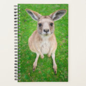 Getty Afbeeldingen | Baby Kangaroo Planner (Voorkant)